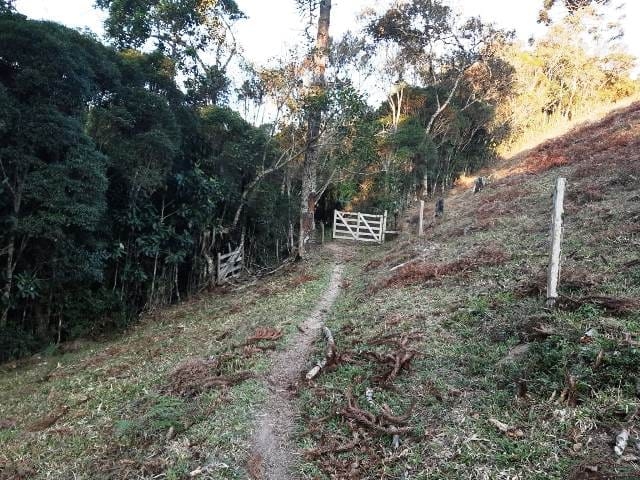 Terreno, 17 hectares - Foto 12