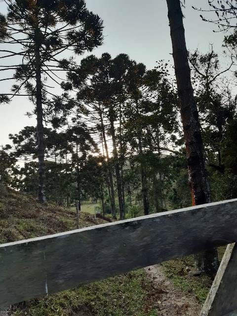 Terreno, 17 hectares - Foto 13