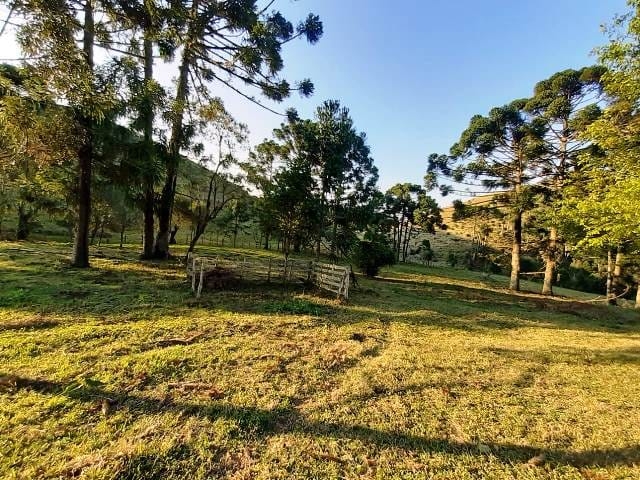 Terreno, 17 hectares - Foto 14