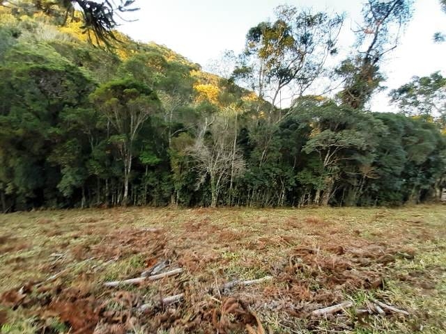 Terreno, 17 hectares - Foto 16