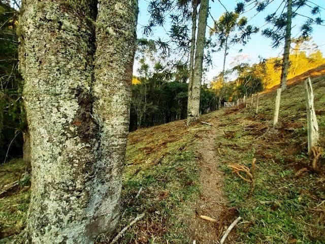 Terreno, 17 hectares - Foto 17