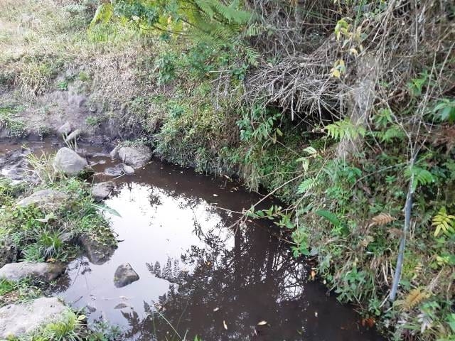 Terreno, 17 hectares - Foto 20