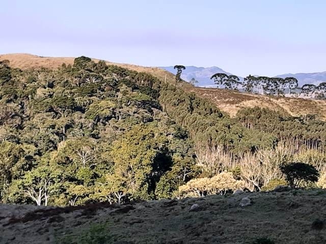 Terreno, 17 hectares - Foto 24