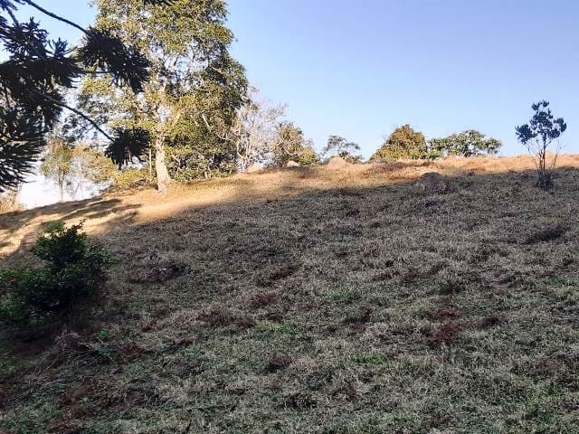 Terreno, 17 hectares - Foto 27