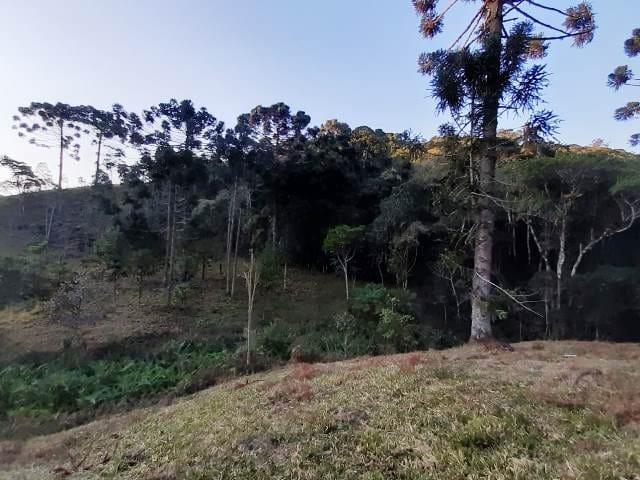 Terreno, 17 hectares - Foto 31