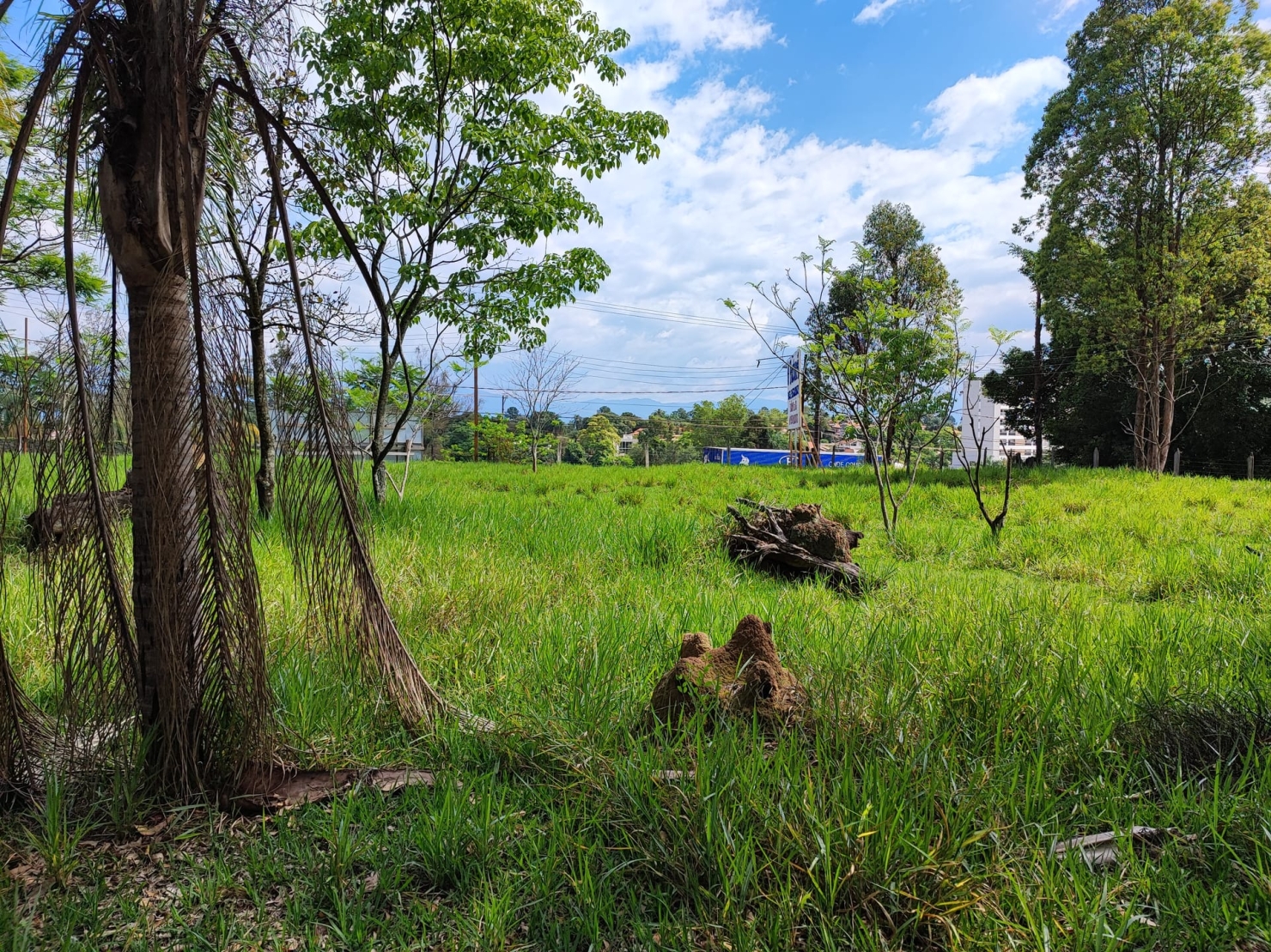 Terreno, 4 hectares - Foto 1