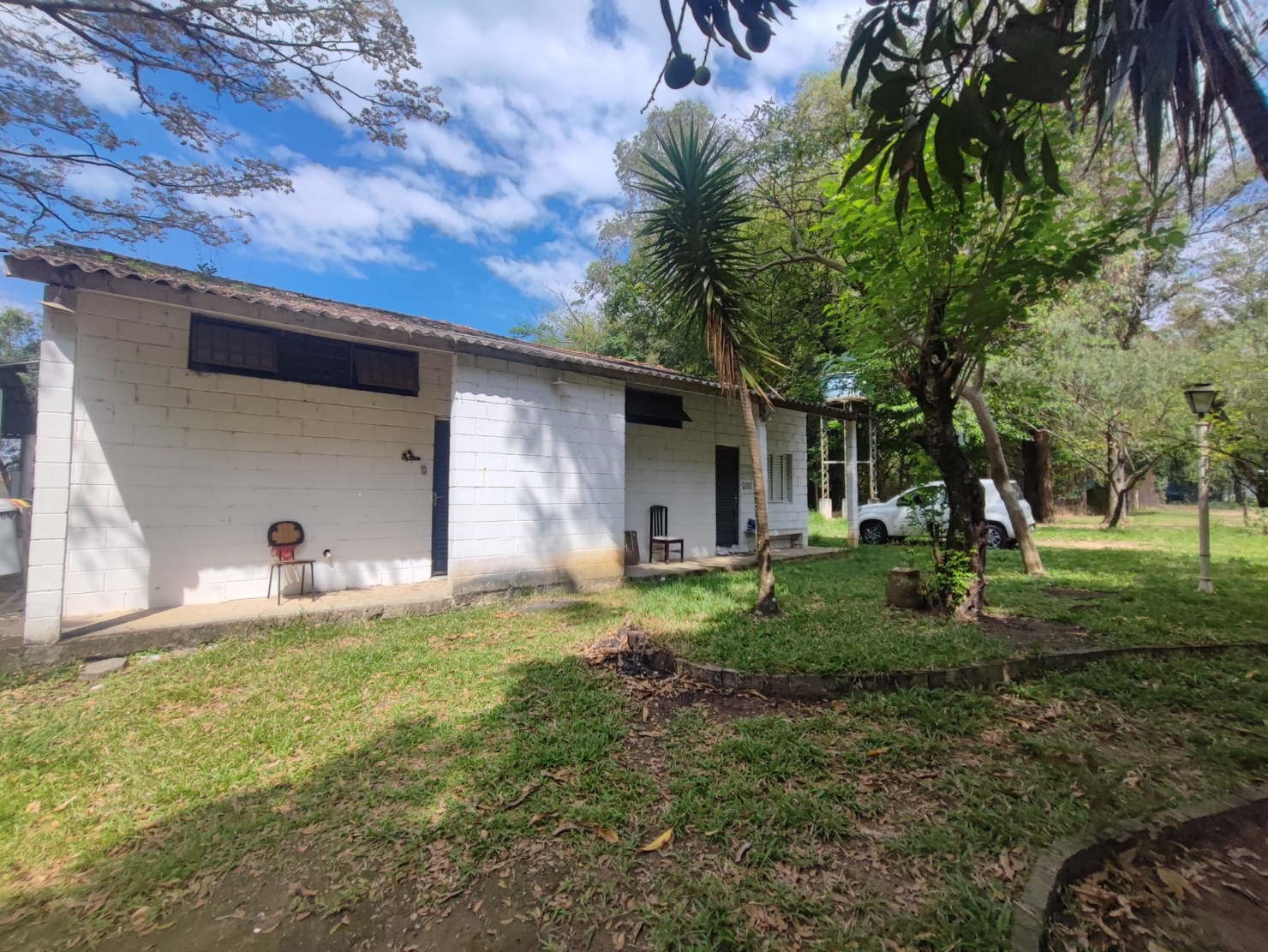 Terreno, 4 hectares - Foto 4