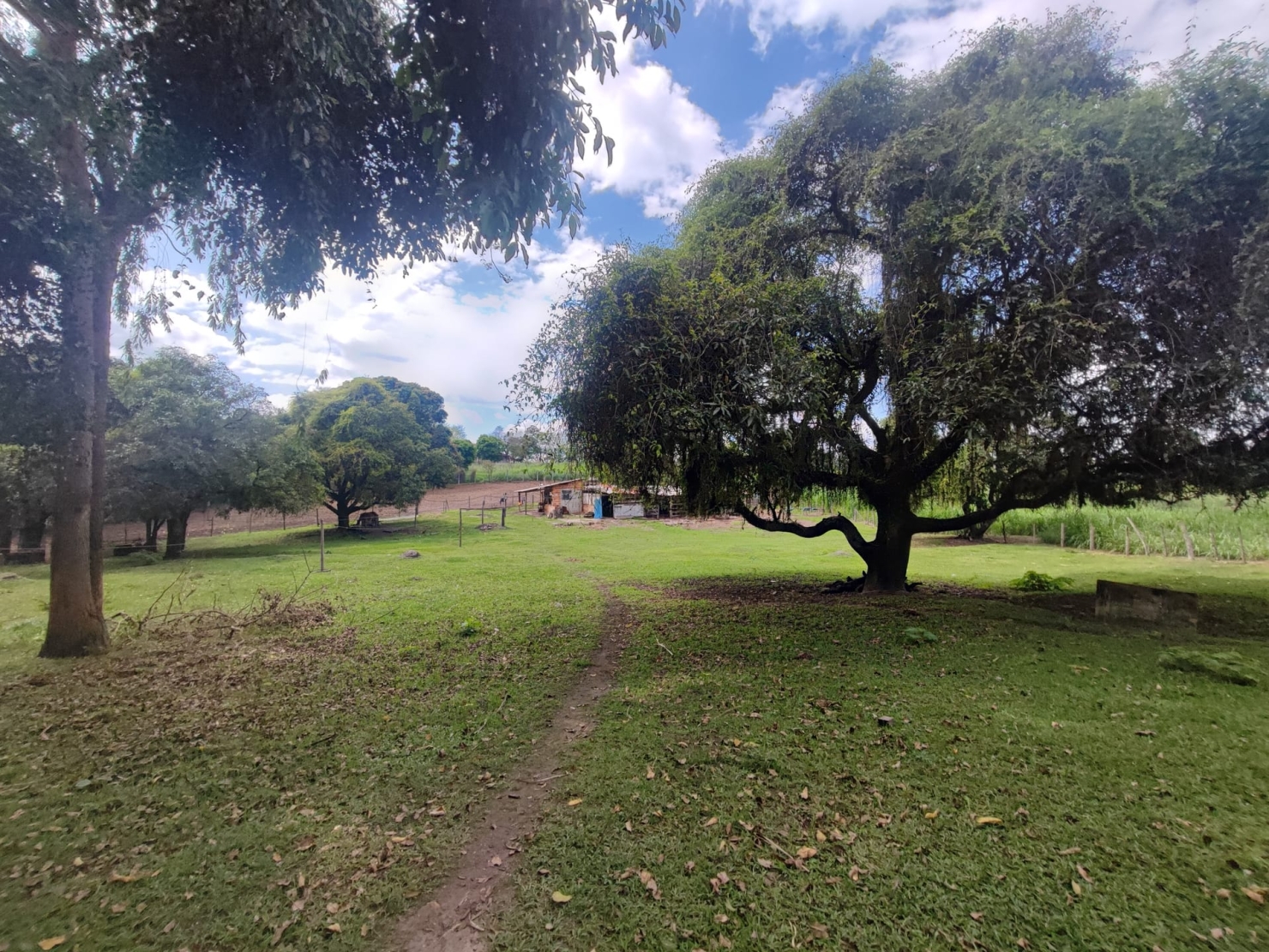 Terreno, 4 hectares - Foto 5