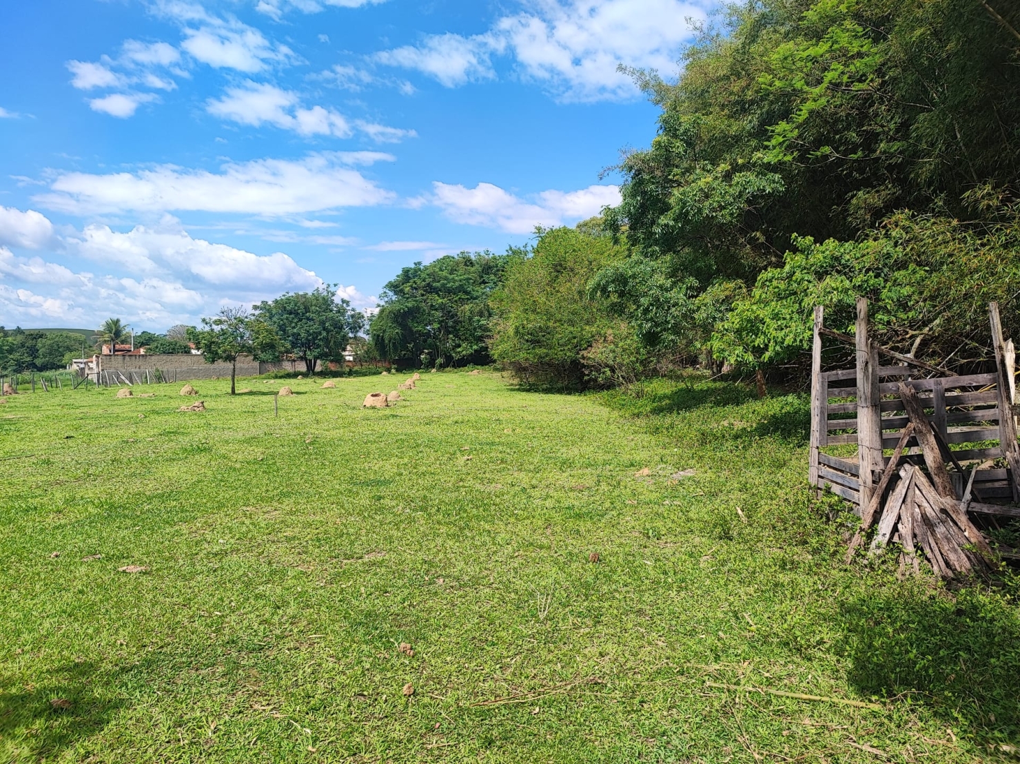 Terreno, 4 hectares - Foto 8