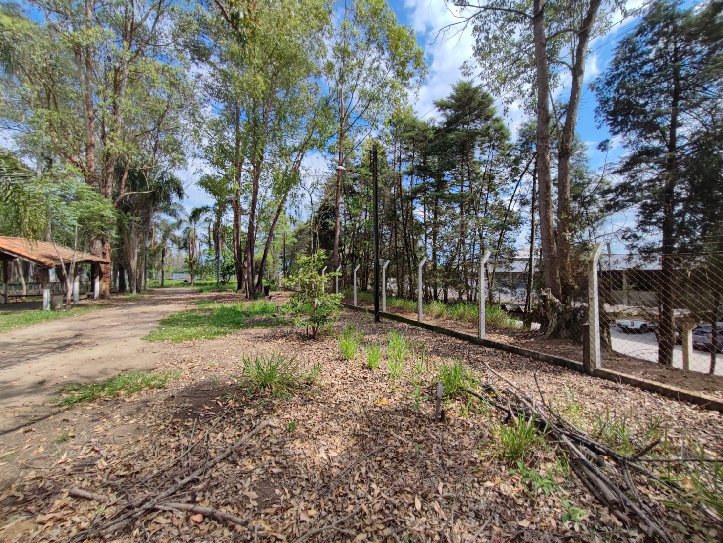 Terreno, 4 hectares - Foto 9