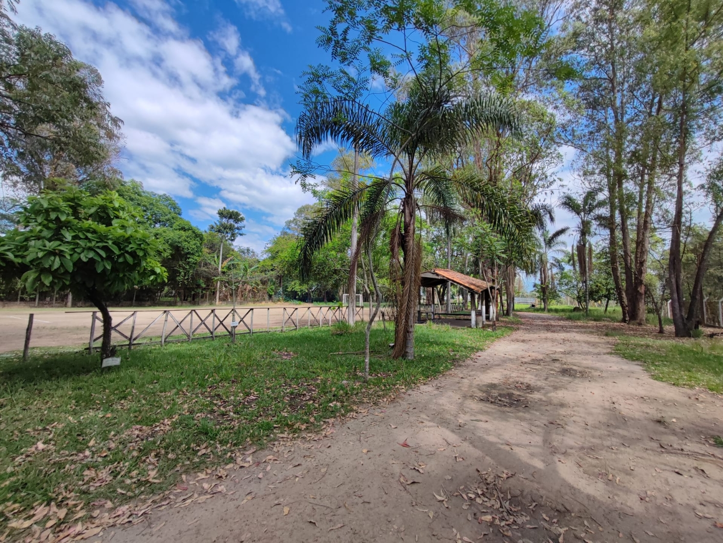 Terreno, 4 hectares - Foto 10