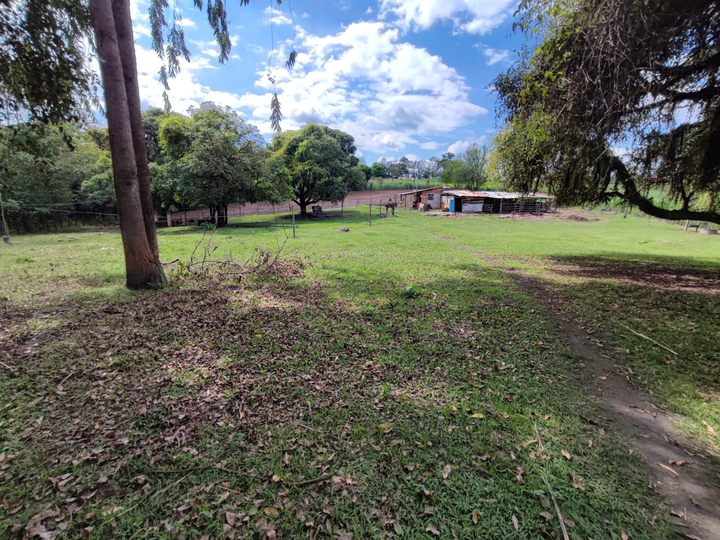 Terreno, 4 hectares - Foto 13