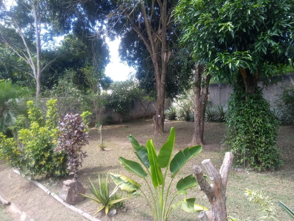 Chácara, 2 quartos, 3000 m² - Foto 7