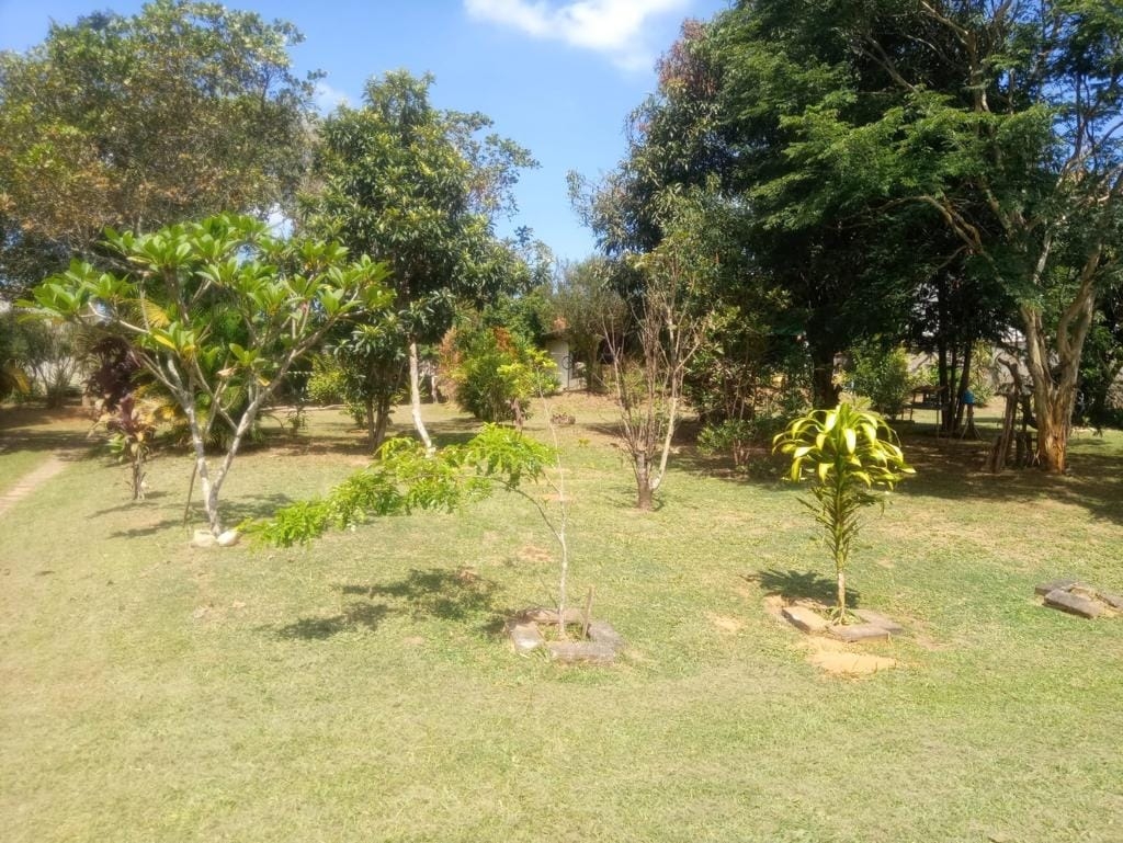 Chácara, 2 quartos, 3000 m² - Foto 9