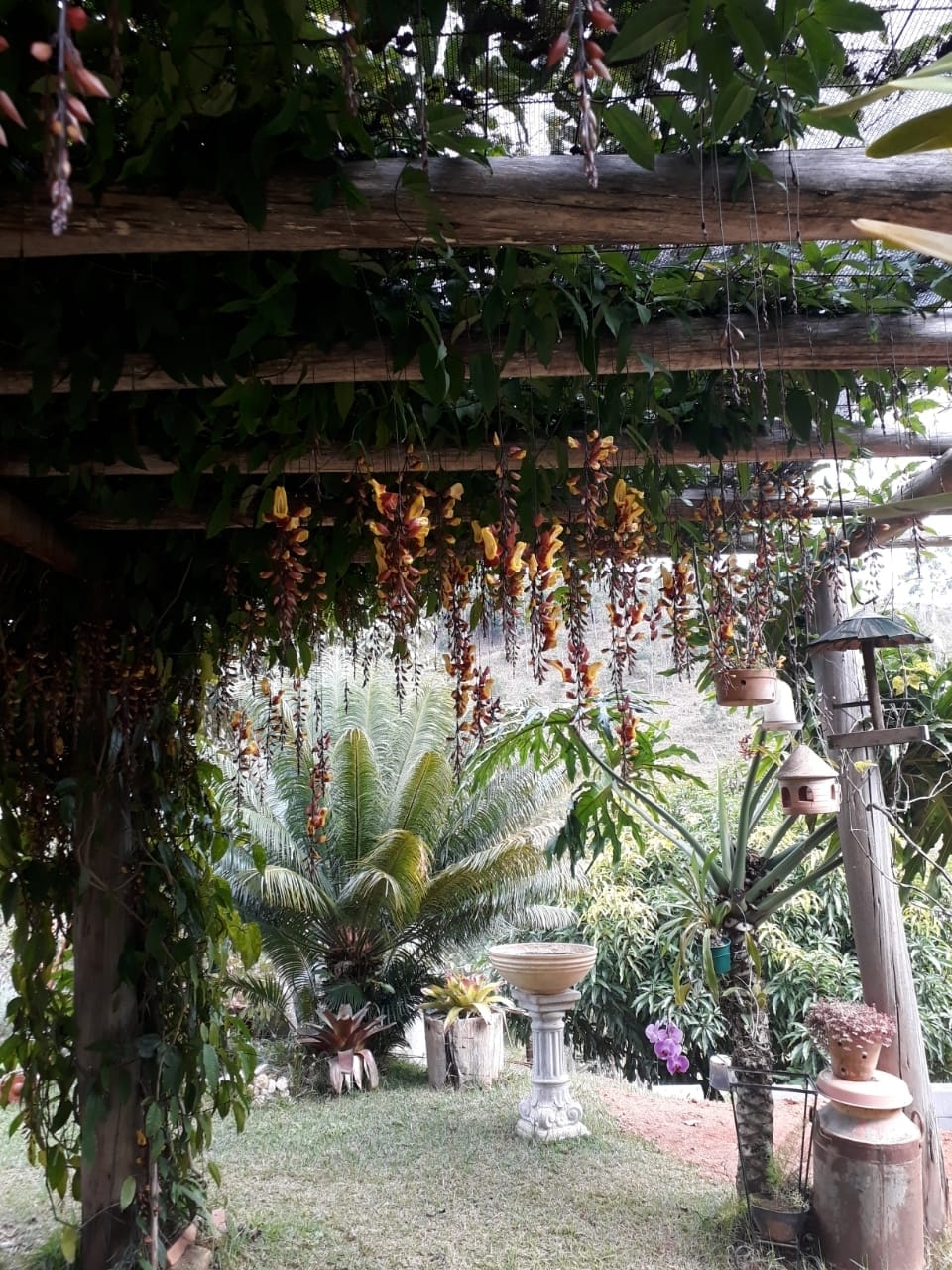 Chácara, 2 quartos, 1 hectares - Foto 8