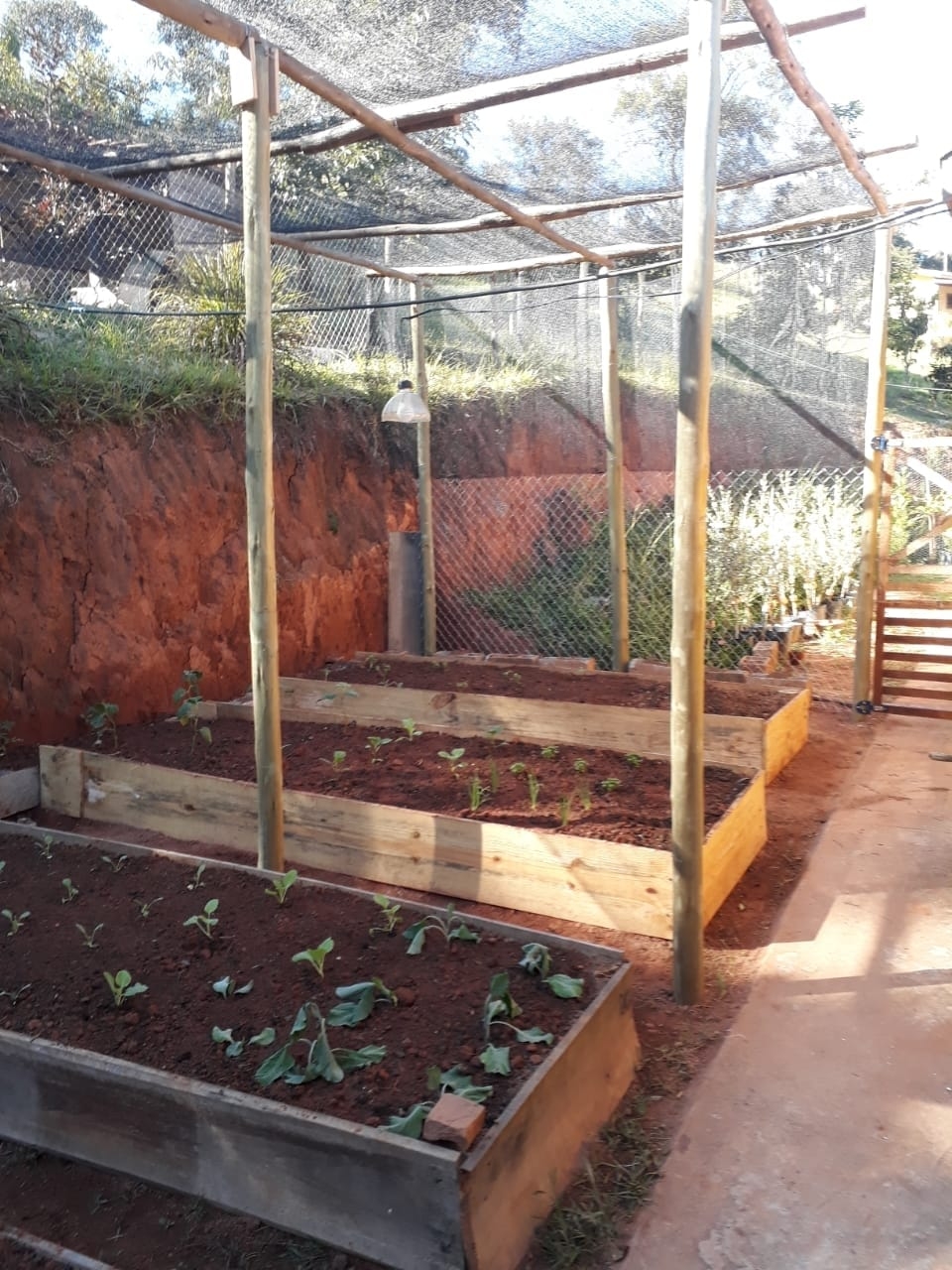 Chácara, 2 quartos, 1 hectares - Foto 14