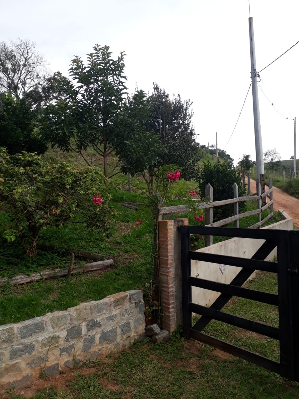 Chácara, 2 quartos, 1 hectares - Foto 15