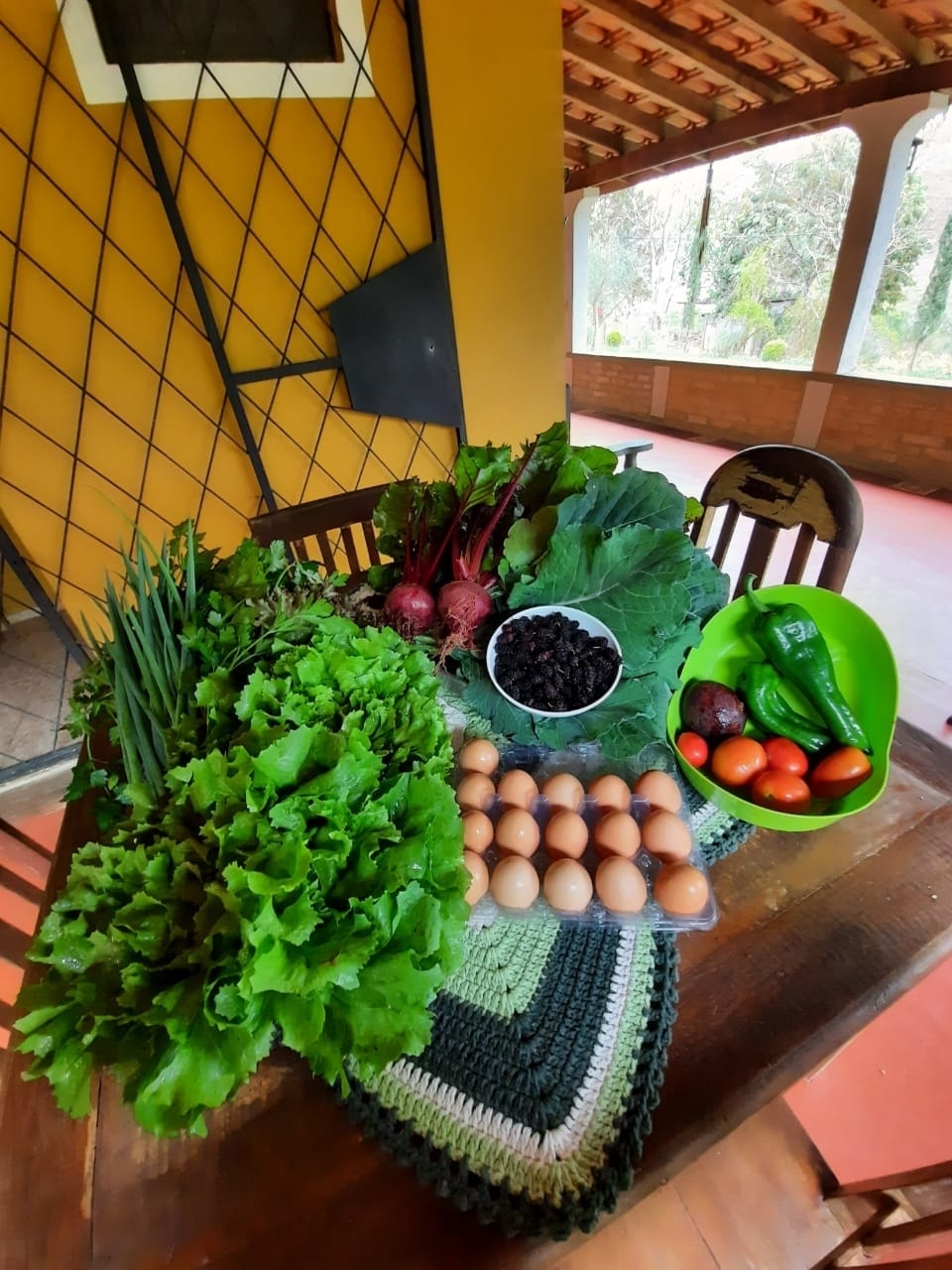 Chácara, 2 quartos, 1 hectares - Foto 25