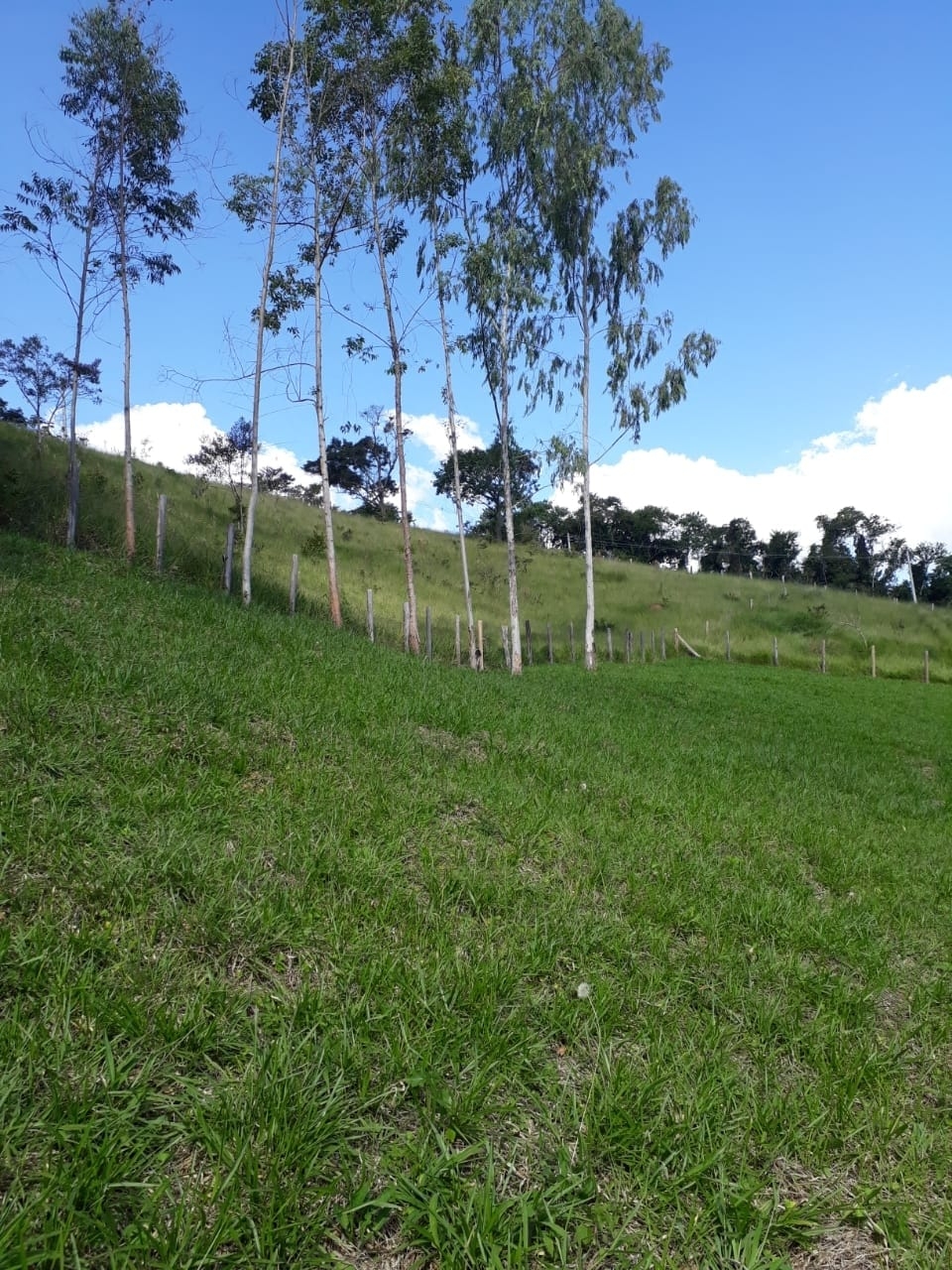 Chácara, 2 quartos, 1 hectares - Foto 27