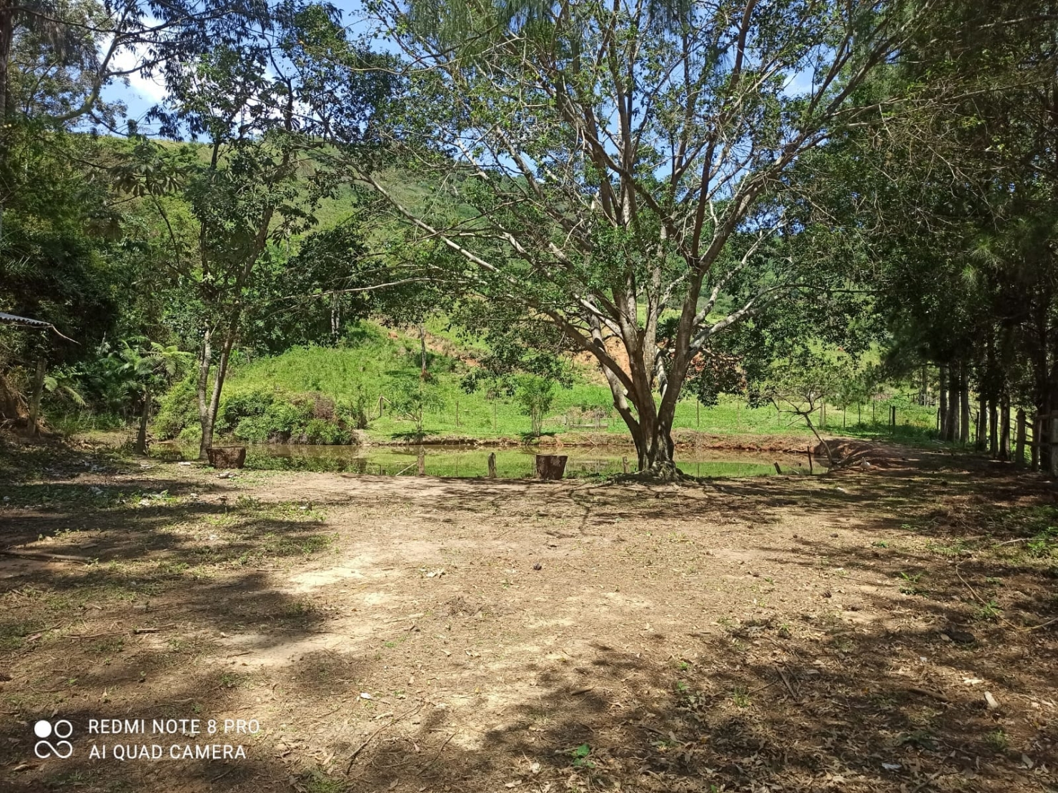 Sítio, 2 quartos, 29 hectares - Foto 16