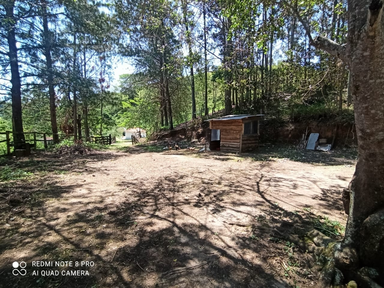 Sítio, 2 quartos, 29 hectares - Foto 20