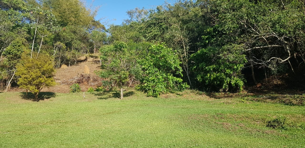 Chácara, 2 quartos, 2 hectares - Foto 19