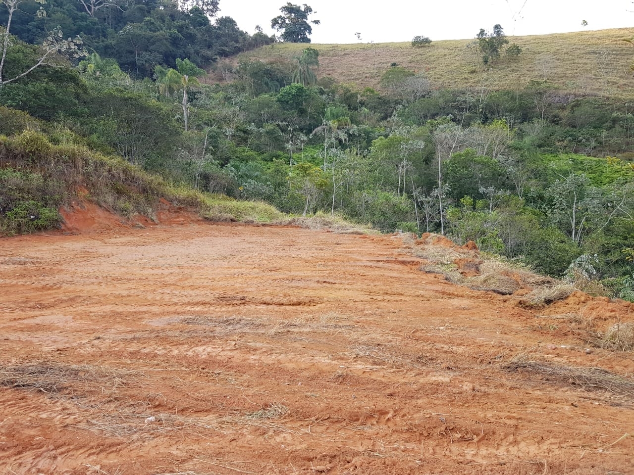 Chácara, 2 quartos, 2 hectares - Foto 21