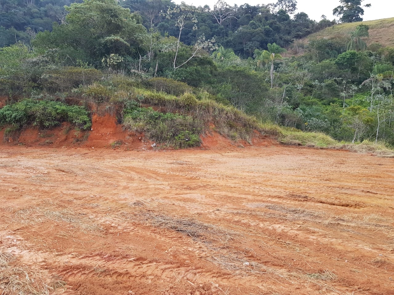 Chácara, 2 quartos, 2 hectares - Foto 23