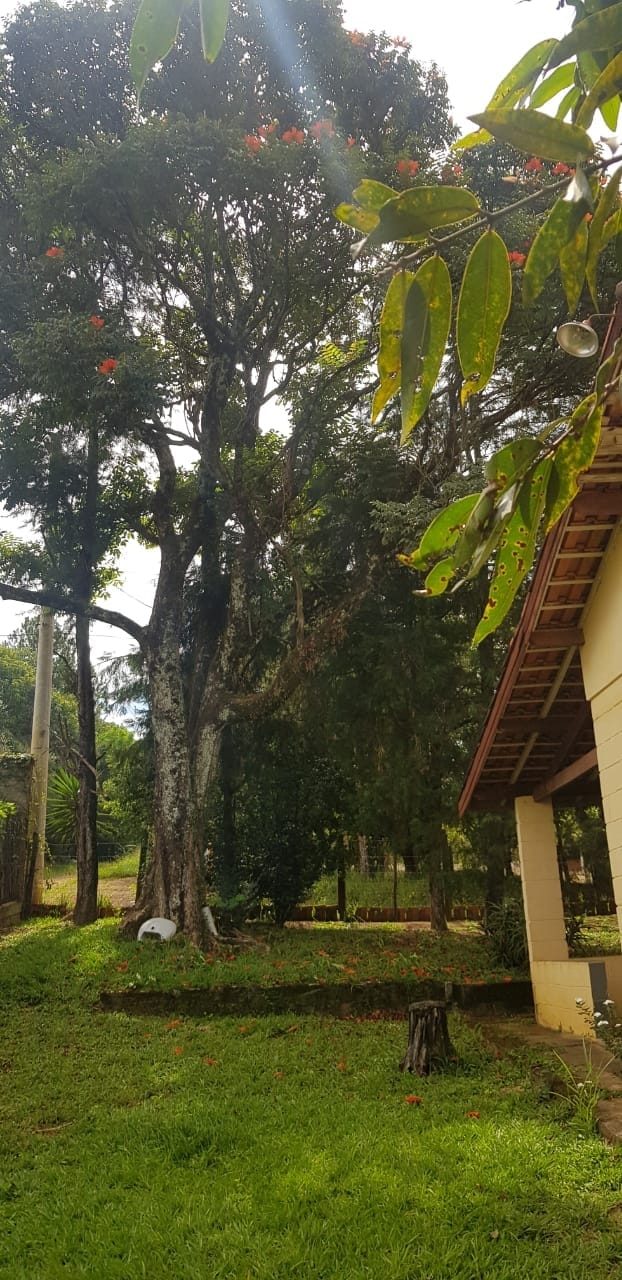 Chácara, 2 quartos, 3300 m² - Foto 5