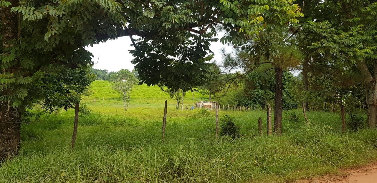 Chácara, 2 quartos, 3300 m² - Foto 6