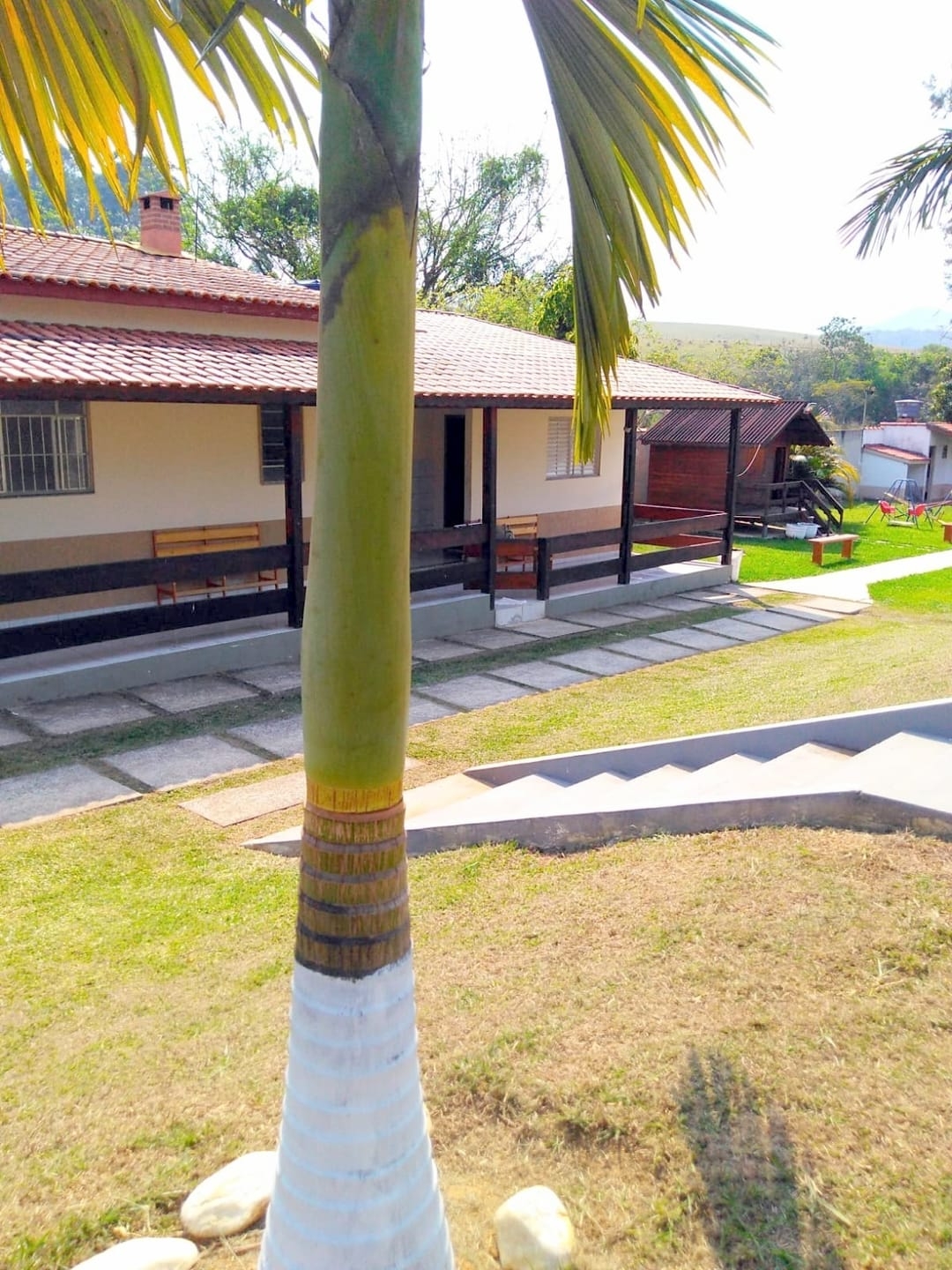 Chácara à venda com 5 quartos, 5000m² - Foto 5