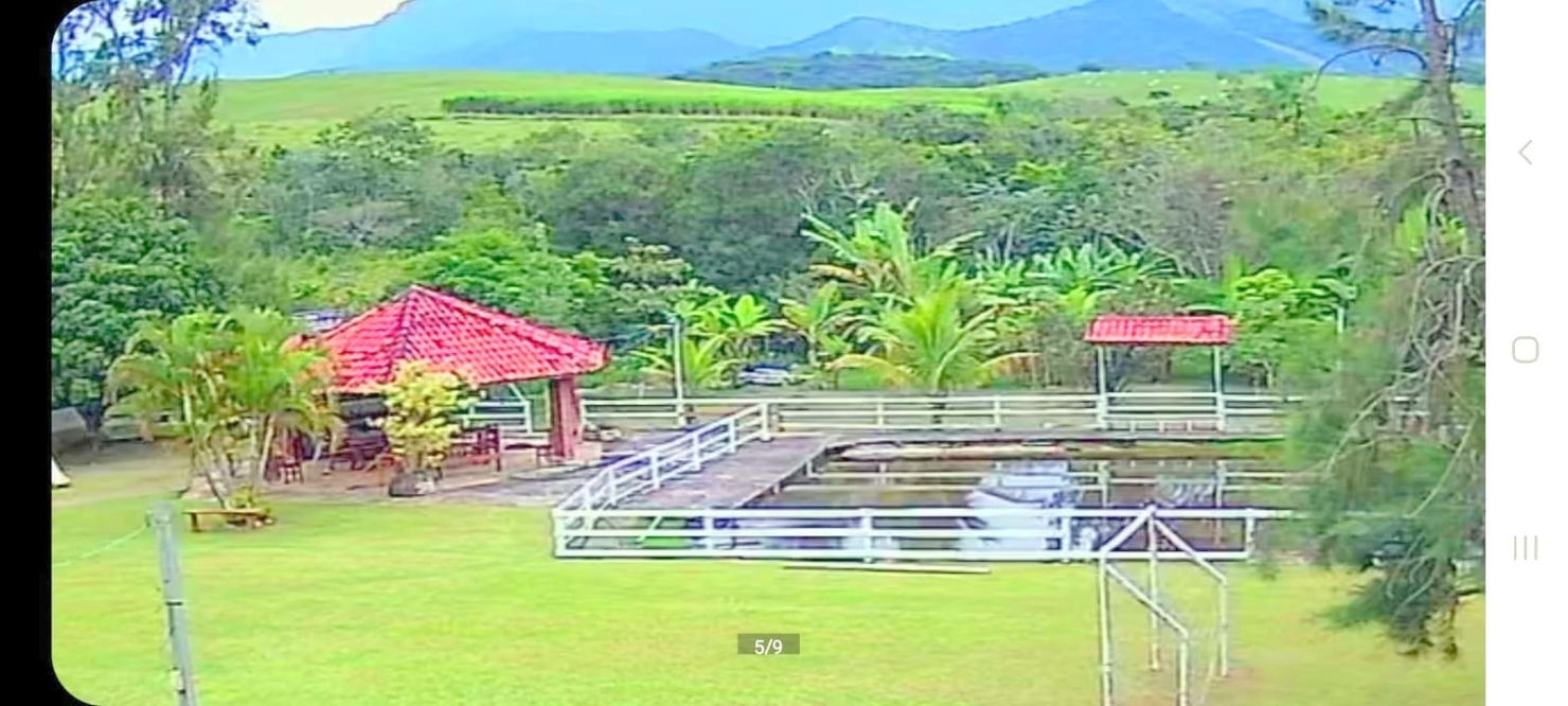 Chácara à venda com 5 quartos, 5000m² - Foto 9