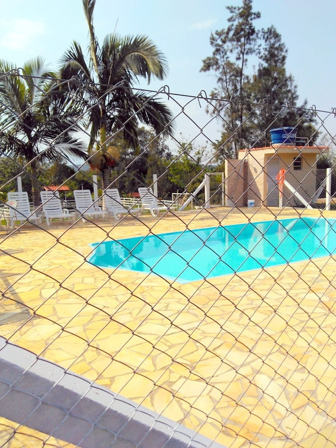 Chácara à venda com 5 quartos, 5000m² - Foto 11
