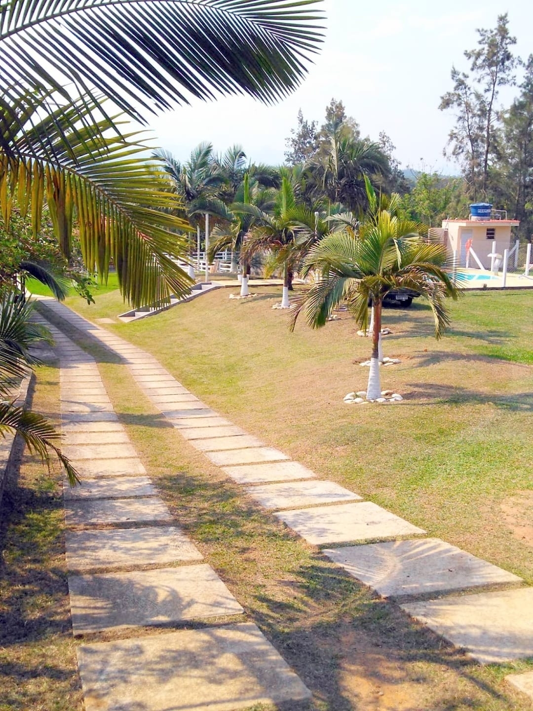 Chácara à venda com 5 quartos, 5000m² - Foto 13