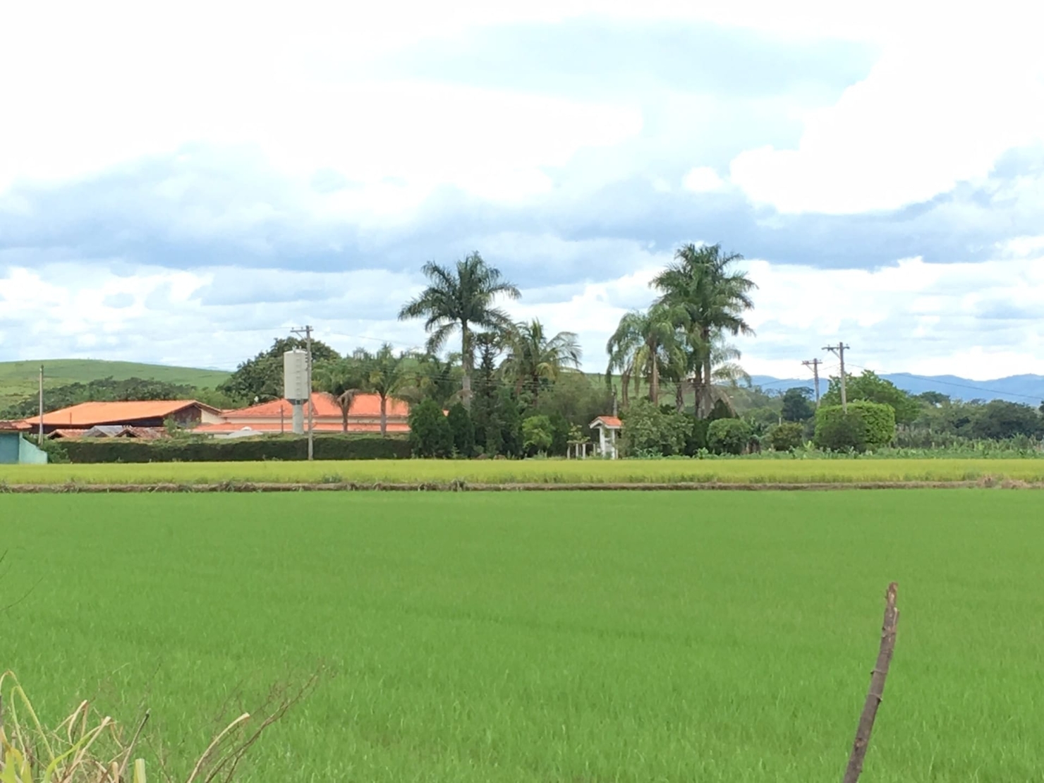 Sítio, 3 quartos, 1 hectares - Foto 15