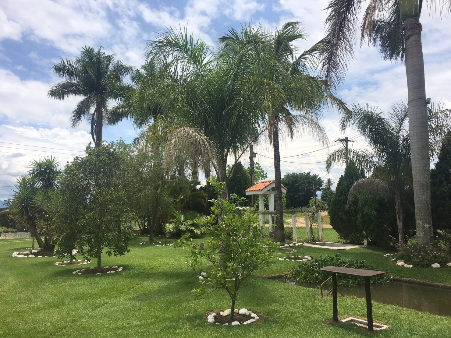 Sítio, 3 quartos, 1 hectares - Foto 30