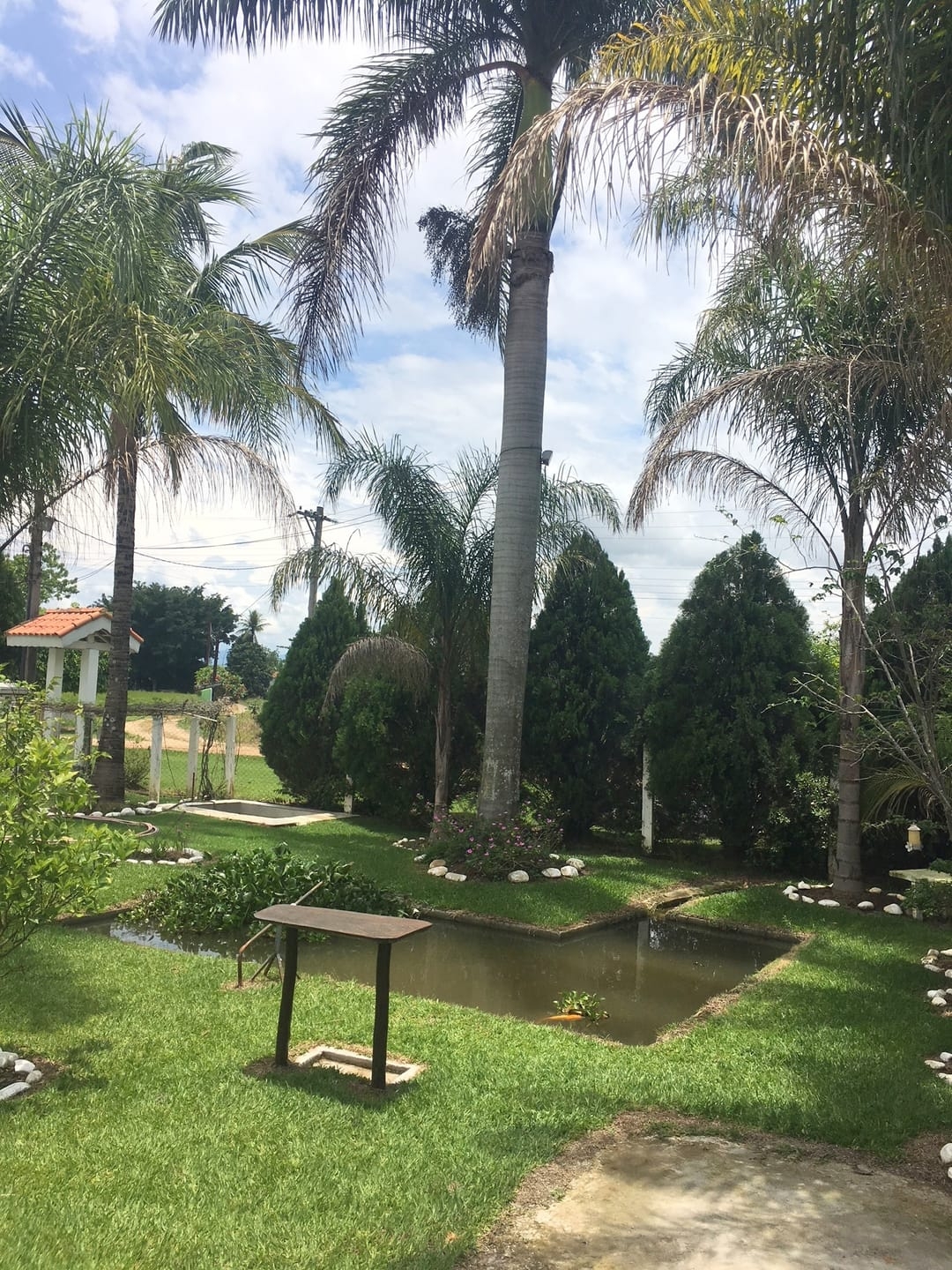 Sítio, 3 quartos, 1 hectares - Foto 32