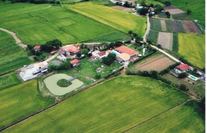 Sítio, 3 quartos, 1 hectares - Foto 44