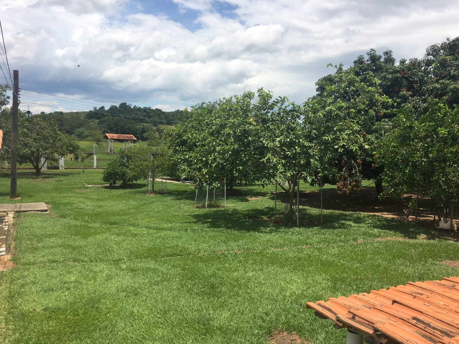 Sítio, 3 quartos, 1 hectares - Foto 45