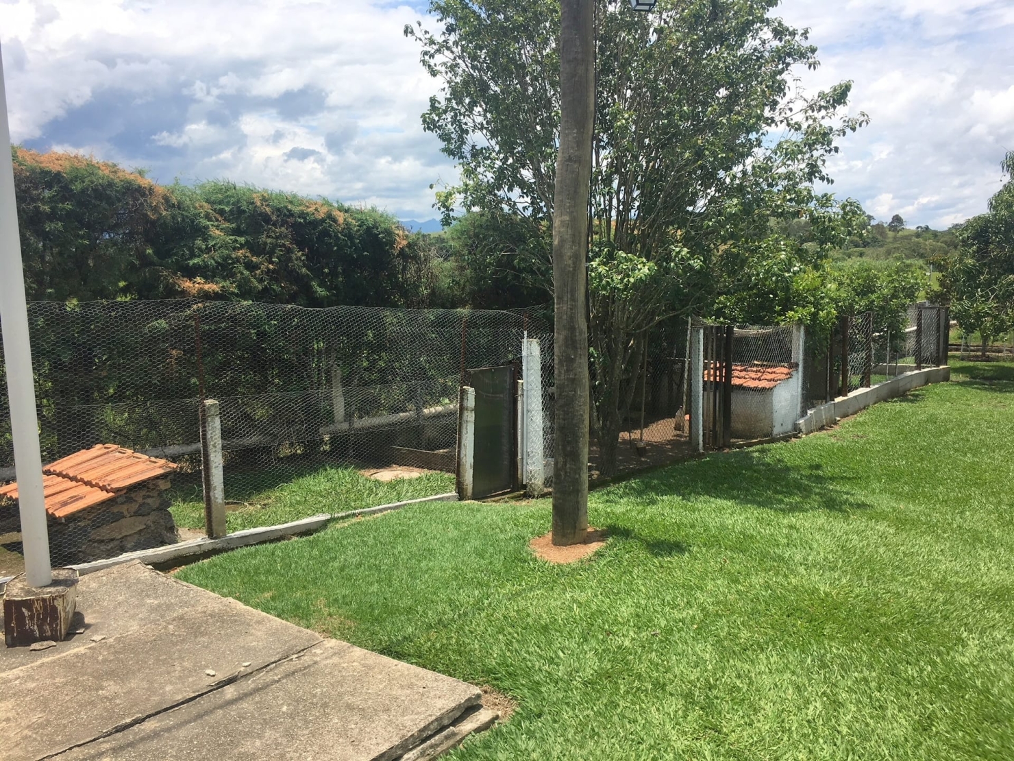 Sítio, 3 quartos, 1 hectares - Foto 48