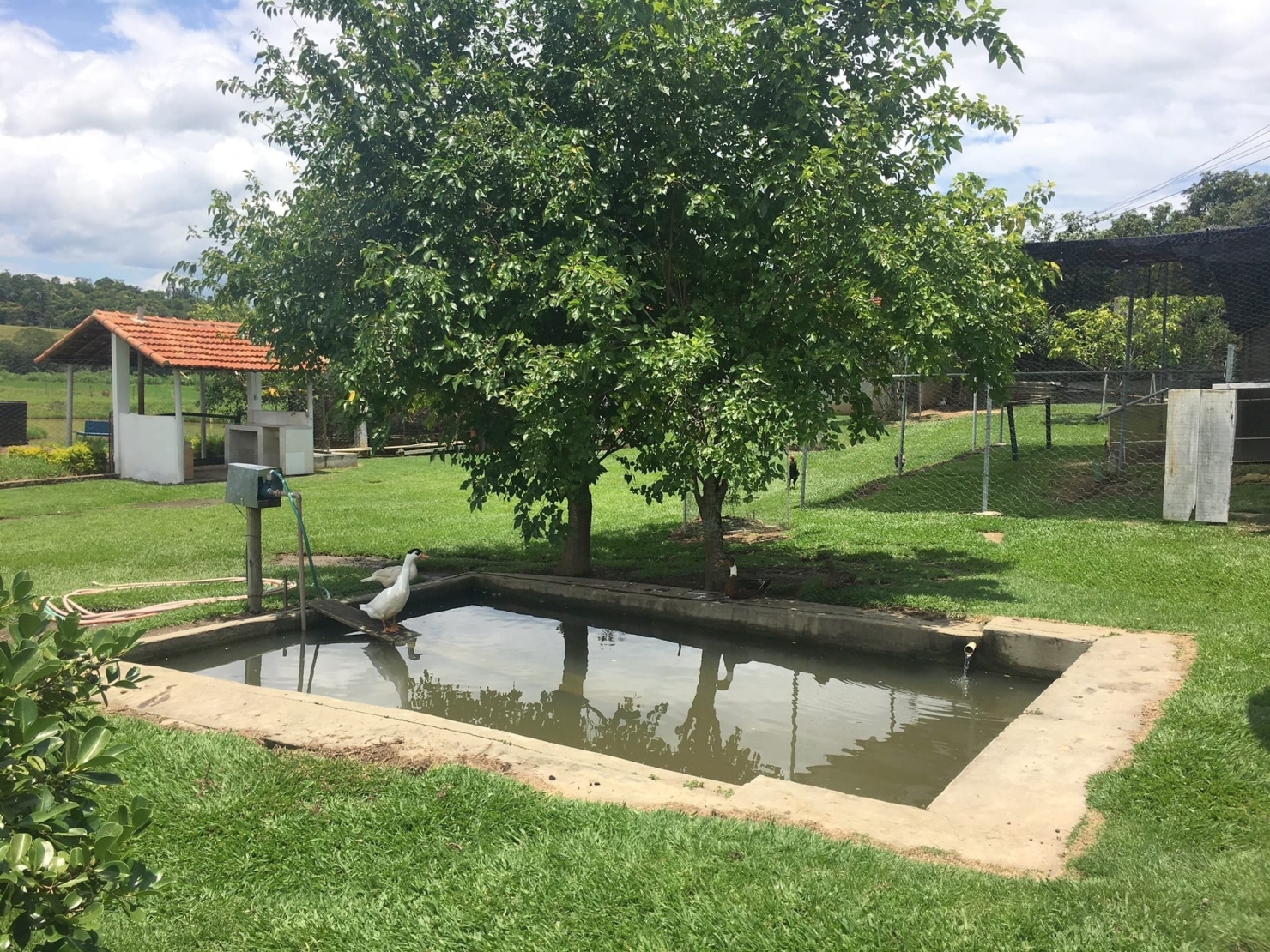 Sítio, 3 quartos, 1 hectares - Foto 50