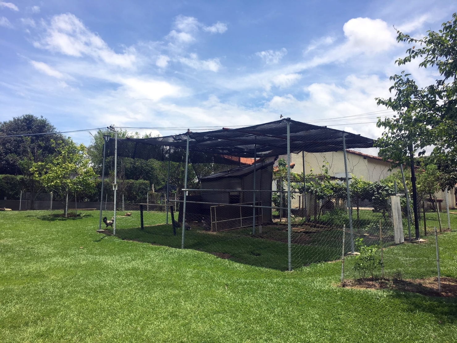 Sítio, 3 quartos, 1 hectares - Foto 51