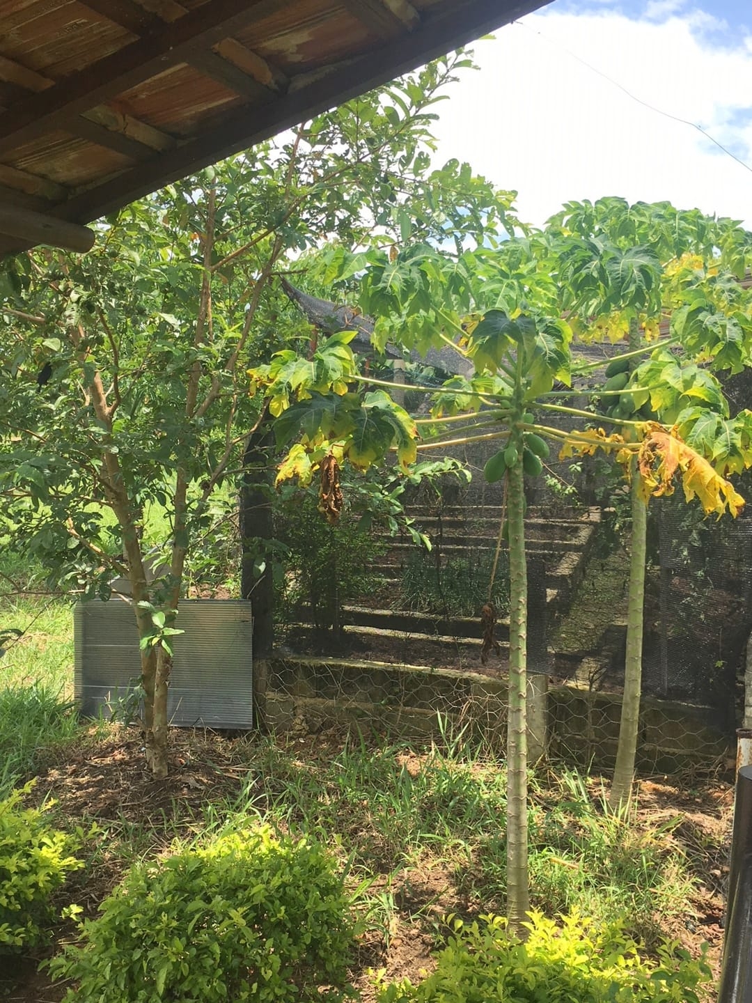 Sítio, 3 quartos, 1 hectares - Foto 57