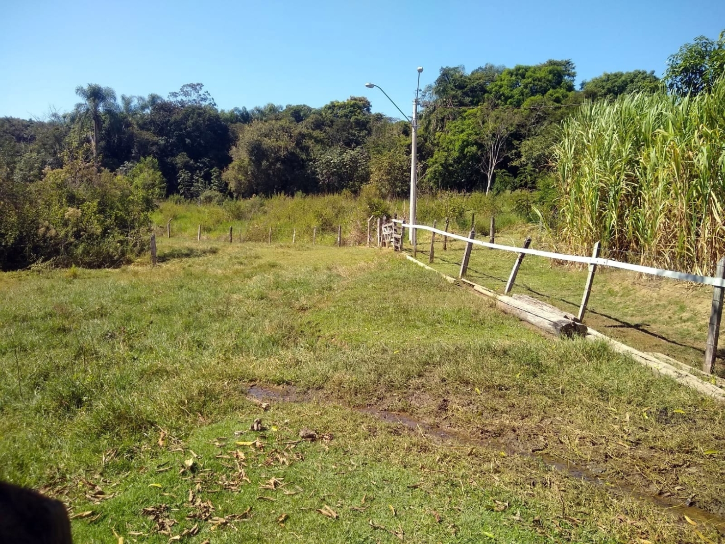 Chácara, 3 quartos, 1 hectares - Foto 1