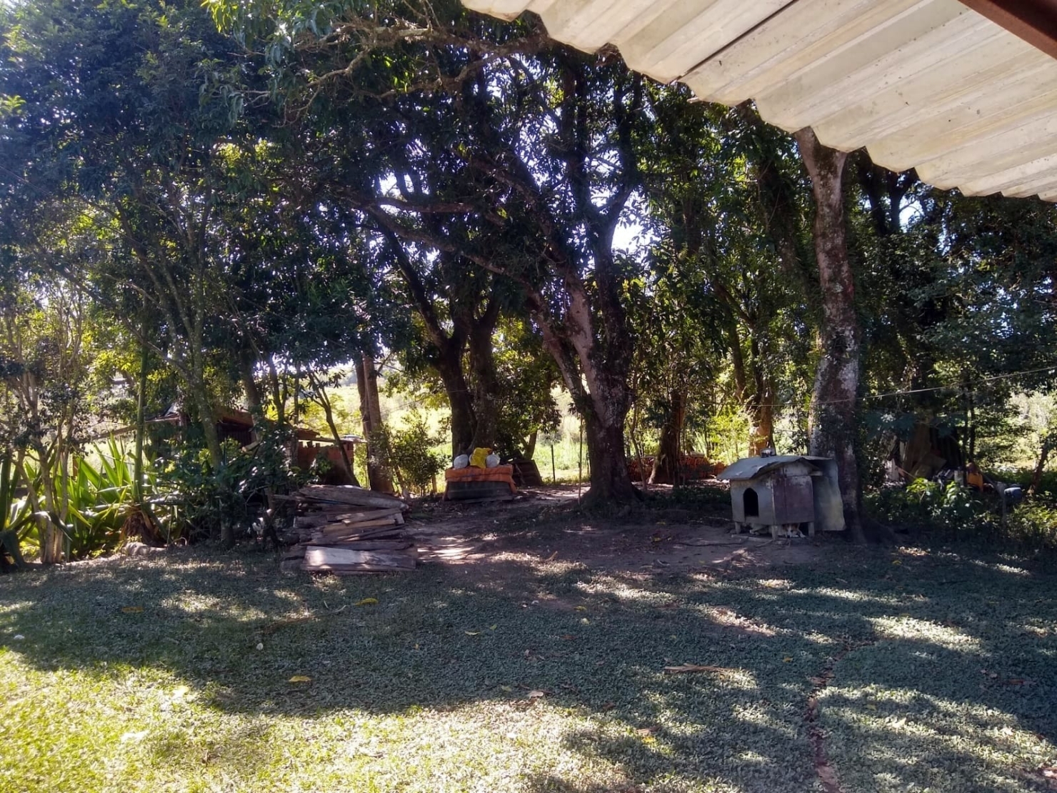 Chácara, 3 quartos, 1 hectares - Foto 8