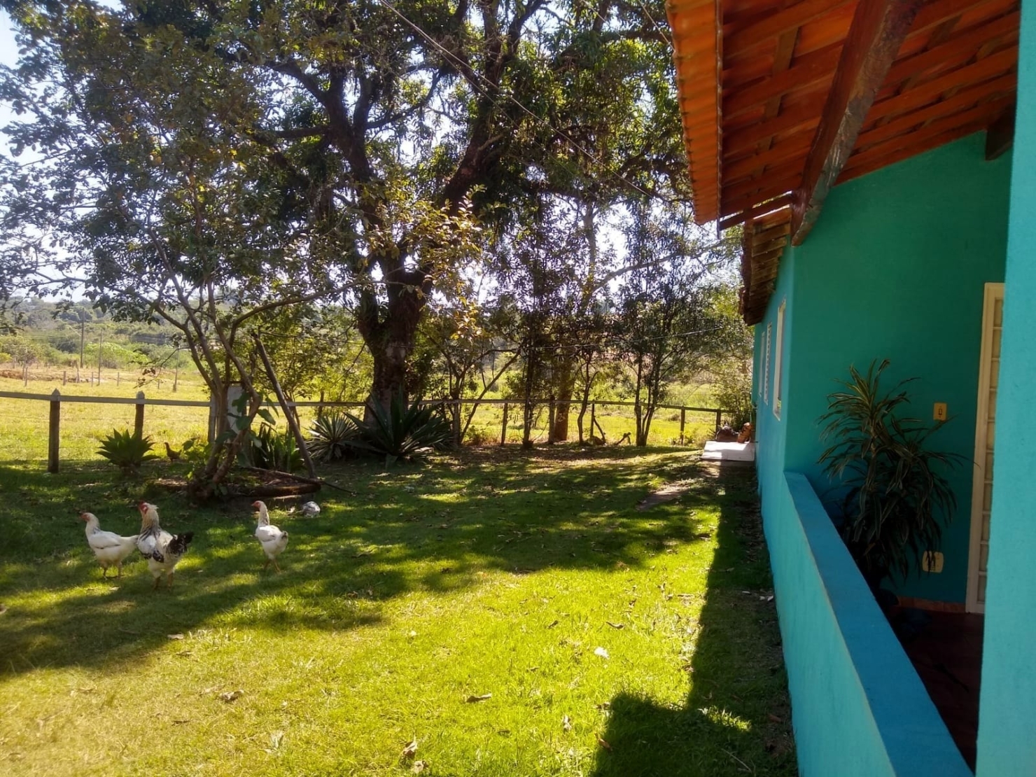 Chácara, 3 quartos, 1 hectares - Foto 30