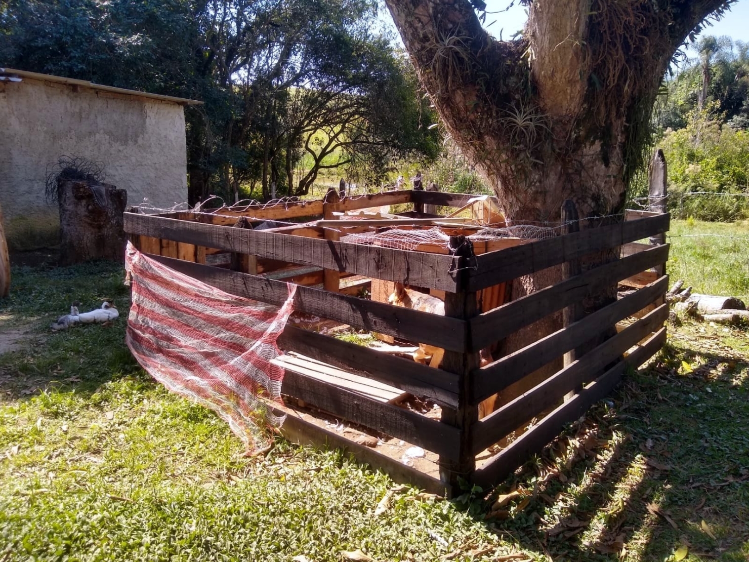 Chácara, 3 quartos, 1 hectares - Foto 32