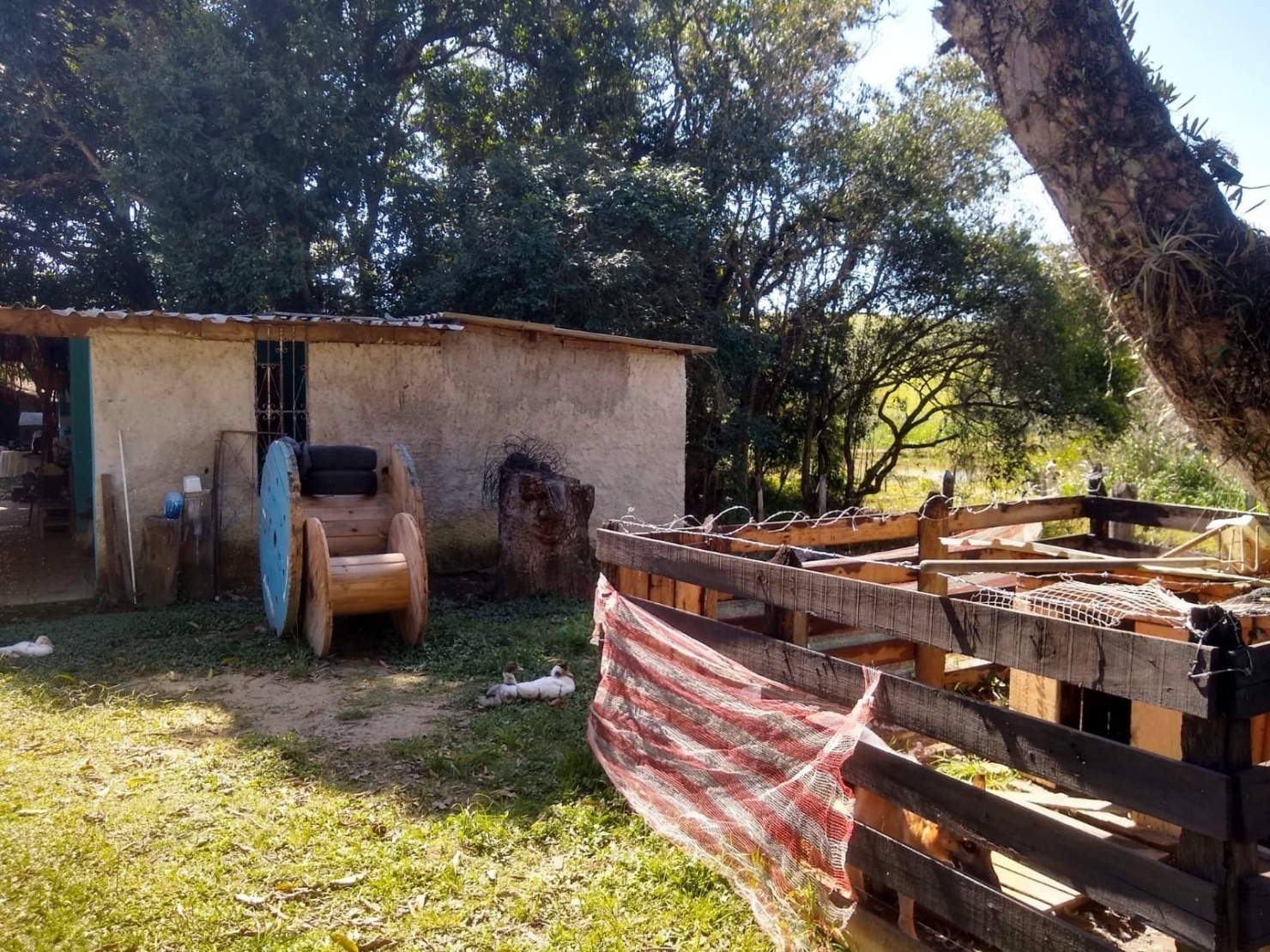 Chácara, 3 quartos, 1 hectares - Foto 33