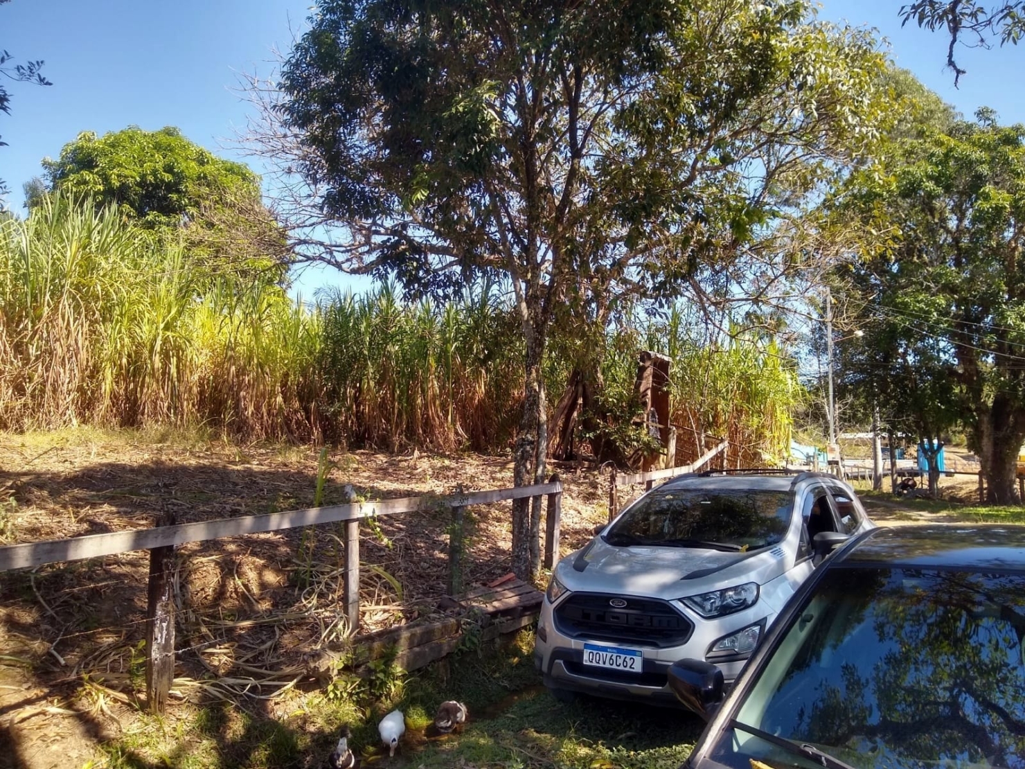 Chácara, 3 quartos, 1 hectares - Foto 38