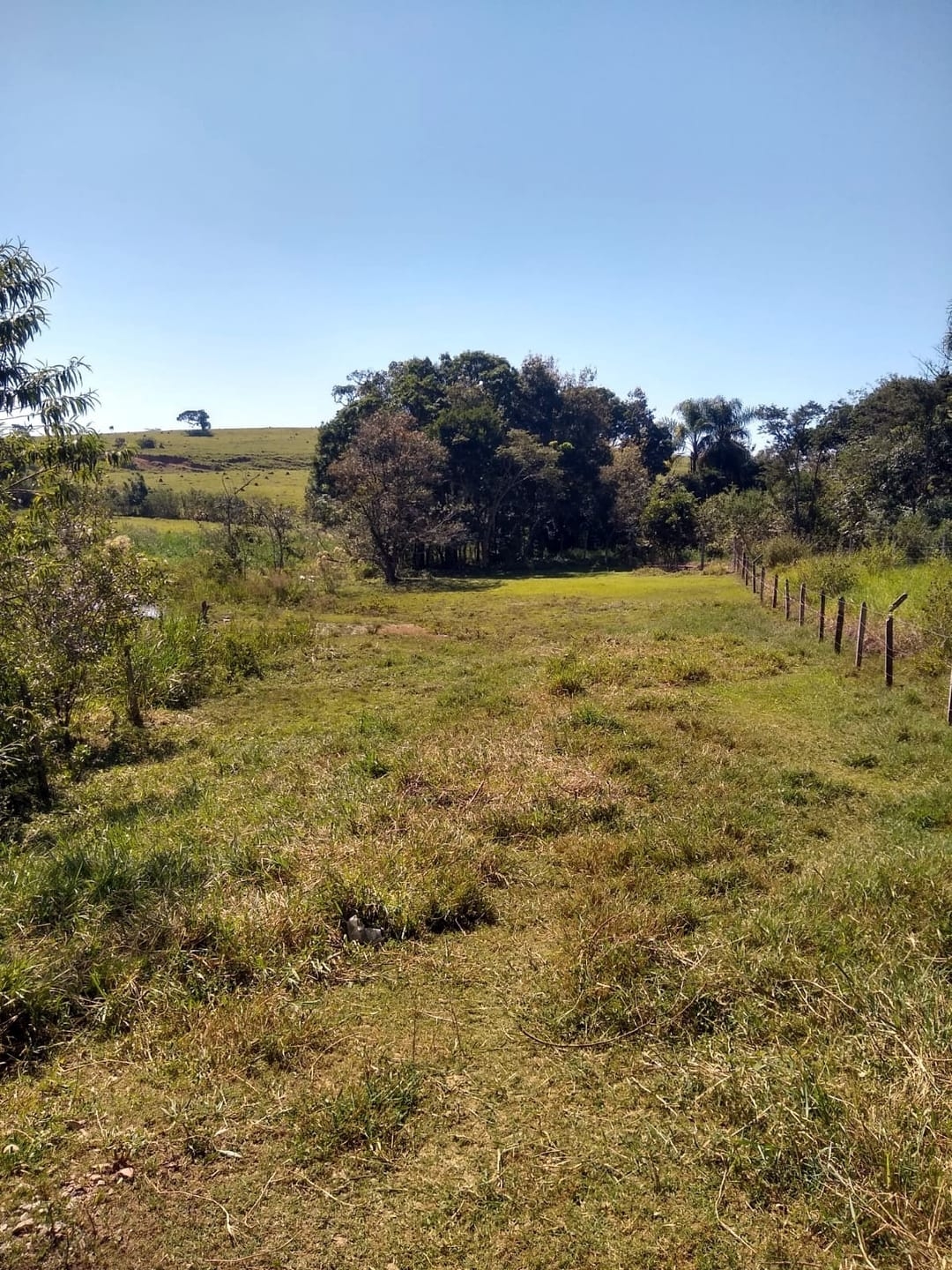 Chácara, 3 quartos, 1 hectares - Foto 41